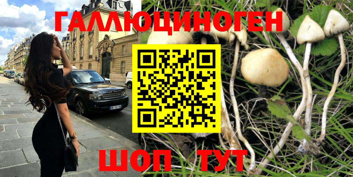 Кострома  Галлюциногенные грибы Magic Shrooms  Вход с VPN 